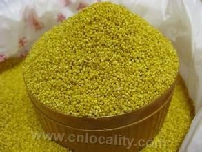 Qinshui yellow millet