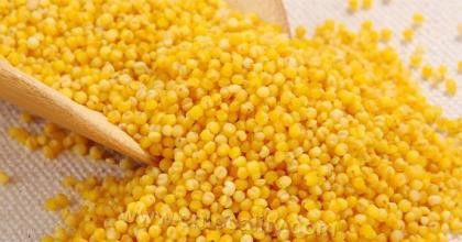 Qinzhou yellow millet