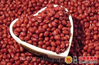 Tunliu adzuki bean