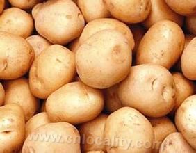 potato