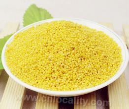 "Qinzhou yellow" millet